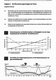 Vorschau Seite 4