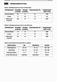 Vorschau Seite 5