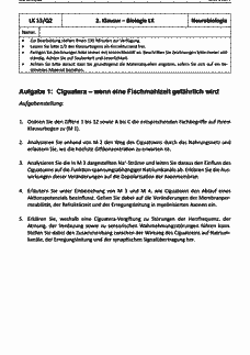 Vorschau Seite 1
