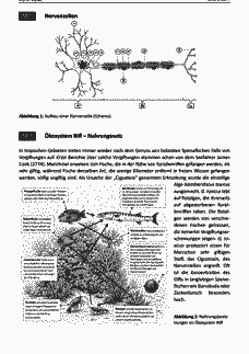 Vorschau Seite 2