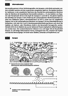 Vorschau Seite 5