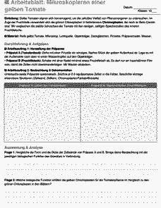Vorschau Seite 1