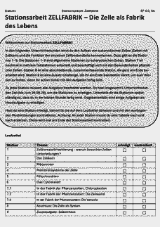 Vorschau Seite 3