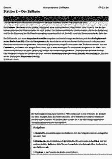 Vorschau Seite 6
