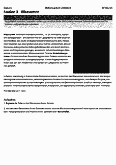 Vorschau Seite 7