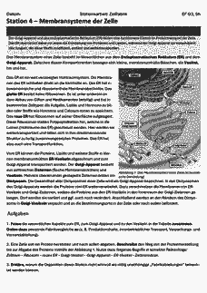 Vorschau Seite 8