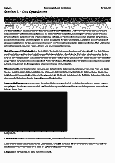 Vorschau Seite 10