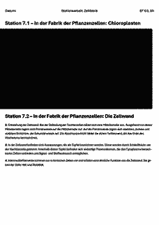 Vorschau Seite 19