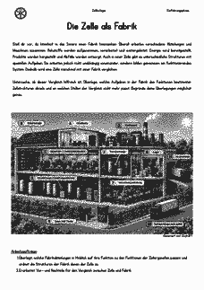 Vorschau Seite 1
