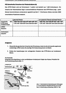 Vorschau Seite 2