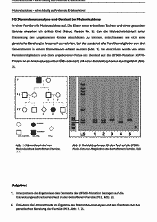 Vorschau Seite 3