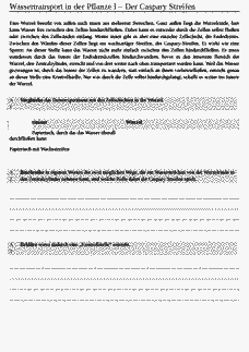 Vorschau Seite 1