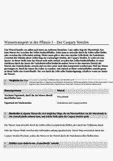 Vorschau Seite 3
