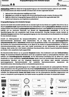 Vorschau Seite 1
