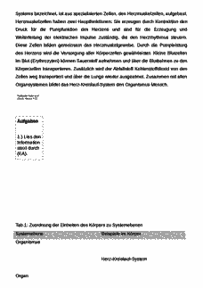 Vorschau Seite 4