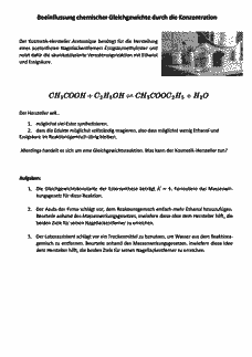 Vorschau Seite 1