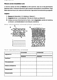 Vorschau Seite 1