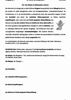 Vorschau Seite 1