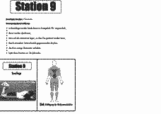 Vorschau Seite 7