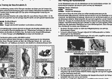 Vorschau Seite 8