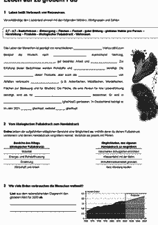 Vorschau Seite 1