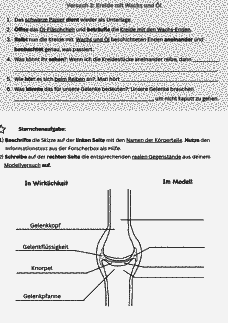 Vorschau Seite 2