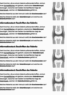Vorschau Seite 3