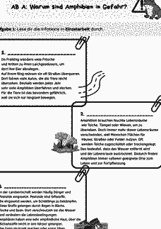 Vorschau Seite 1