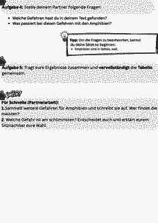 Vorschau Seite 7