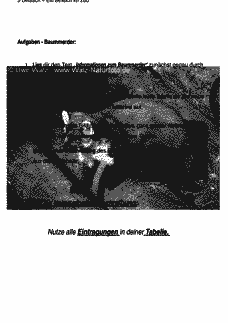 Vorschau Seite 2
