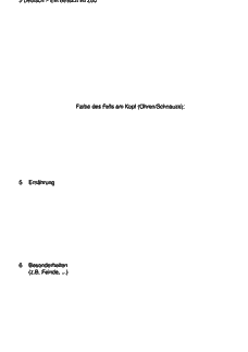 Vorschau Seite 6