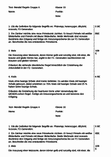 Vorschau Seite 1