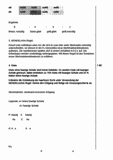 Vorschau Seite 3