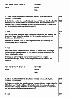 Vorschau Seite 1