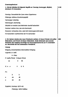 Vorschau Seite 1
