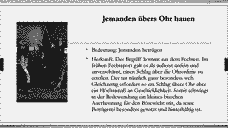 Vorschau Seite 43