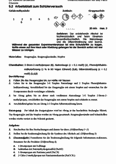 Vorschau Seite 13