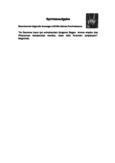 Vorschau Seite 11