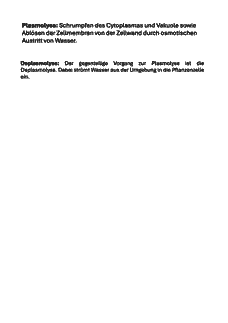 Vorschau Seite 17