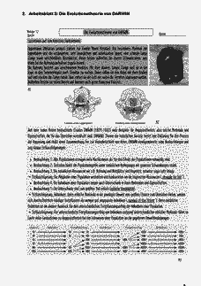 Vorschau Seite 7