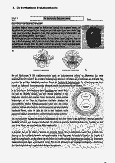 Vorschau Seite 11
