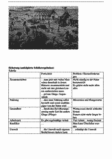 Vorschau Seite 6