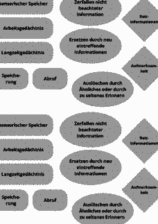 Vorschau Seite 8