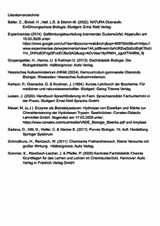Vorschau Seite 10
