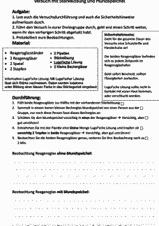 Vorschau Seite 11