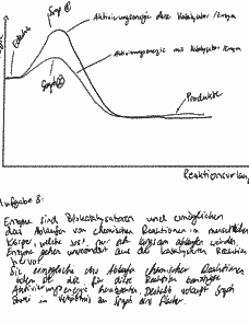 Vorschau Seite 23
