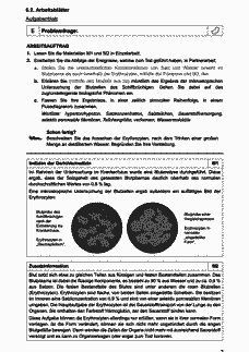Vorschau Seite 8