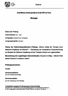 Vorschau Seite 1