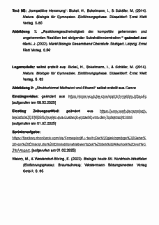 Vorschau Seite 15