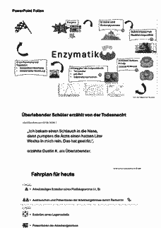 Vorschau Seite 25